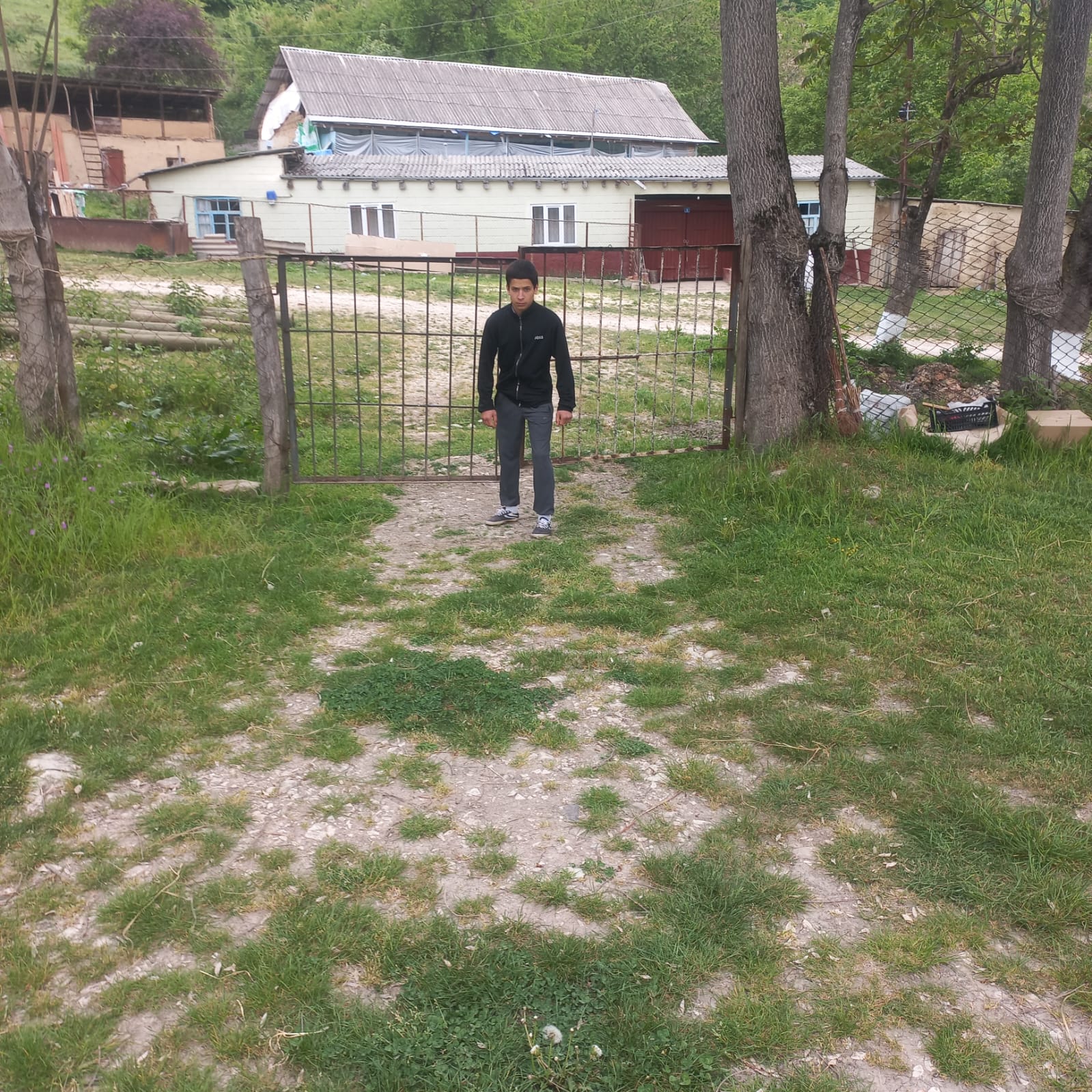 Изображения.