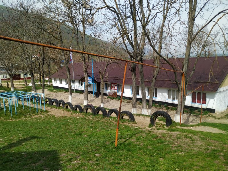 территория школы
